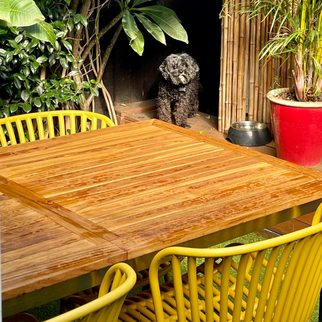 Teak wooden table with yellow chairs in an outdoor setting with a dog and plants. The Table has Cleartone Teak Sealer applied. 